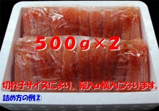 516zKxiZKAL.jpg